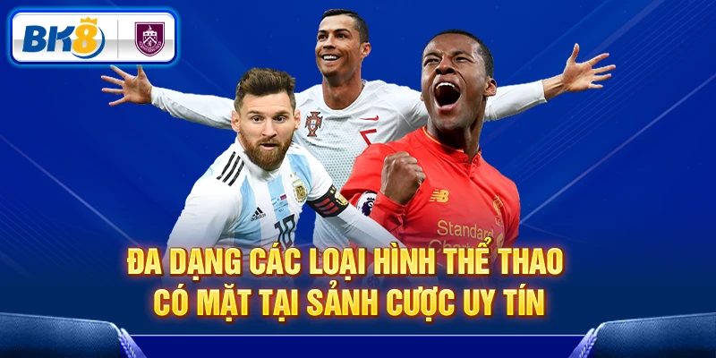 Đa dạng các loại hình thể thao có mặt tại sảnh Bk8 Sports Đa dạng các loại hình thể thao có mặt tại sảnh Bk8 Sports