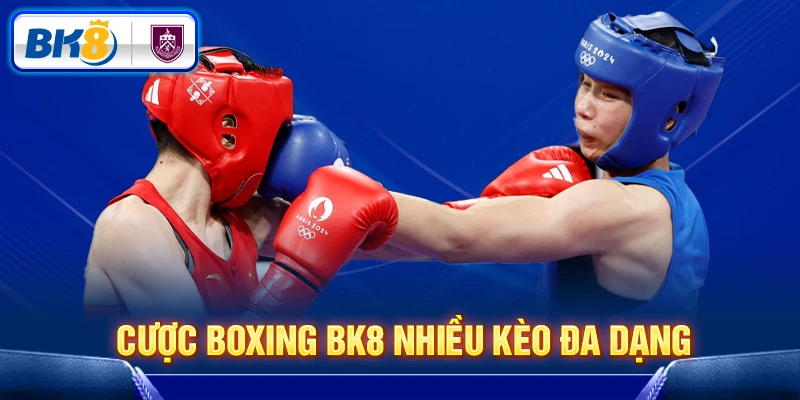 Cược boxing BK8 nhiều kèo đa dạng